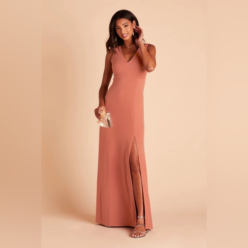 Birdy Gray Shamin Terracotta crepe Dress